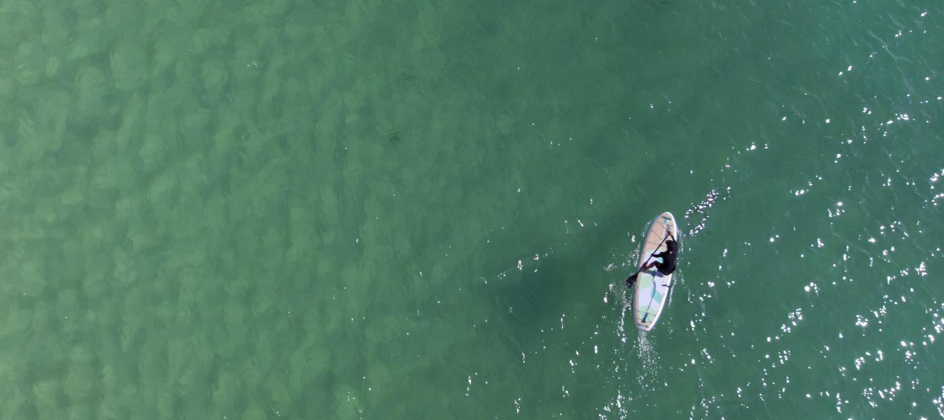 Overhead view of a stand up paddleboarder in the water