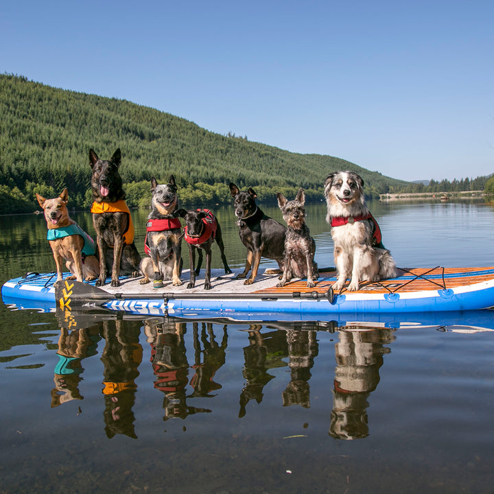 Max 11'6 Multi-purpose Paddle Board 2024