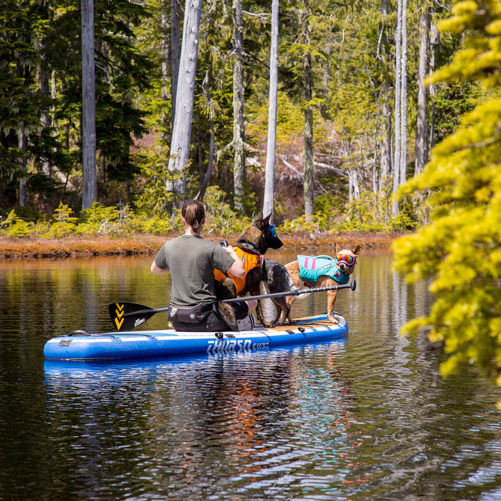 Max 11'6 Multi-purpose Paddle Board 2024