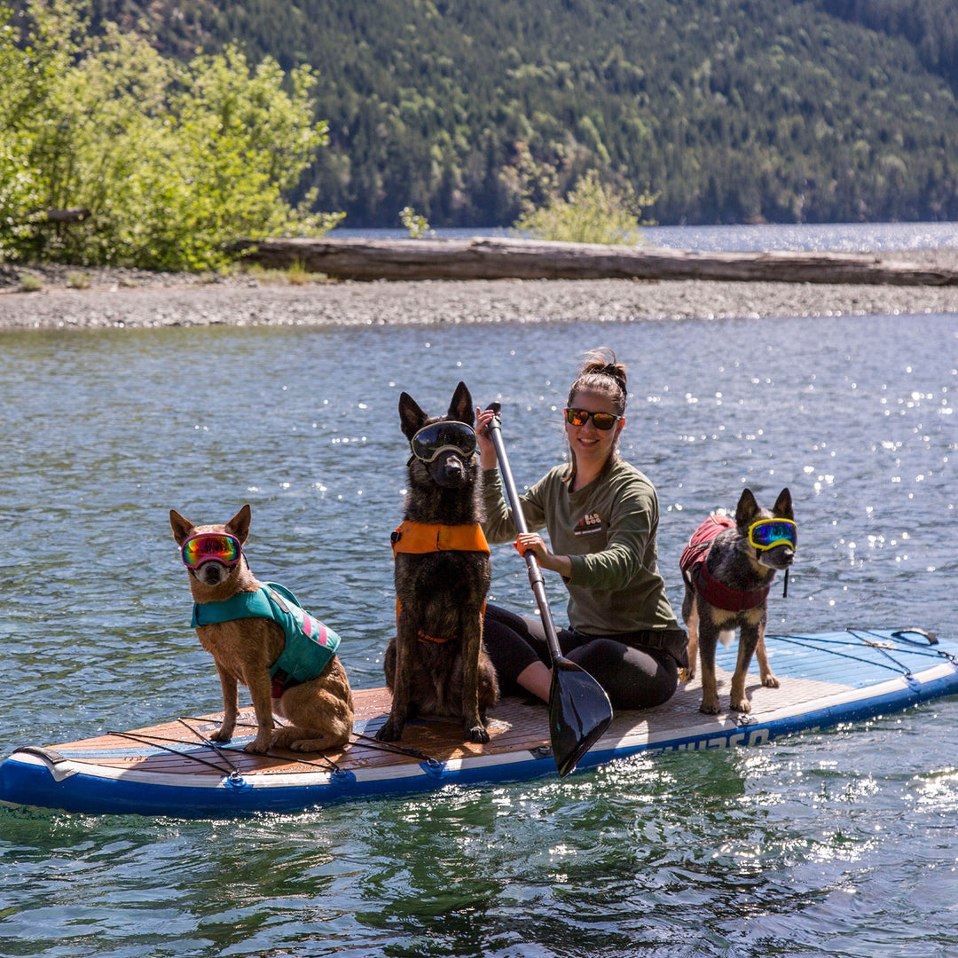 Max 11'6 Multi-purpose Paddle Board 2024