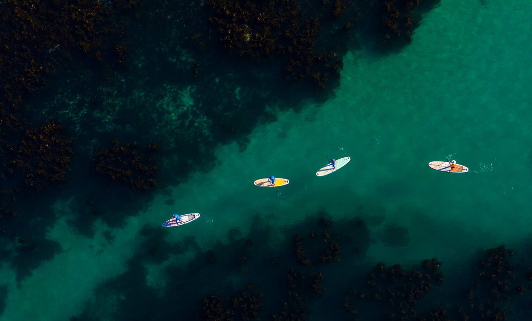 SUP Explorer | Paddleboarding Chickamauga Lake, TN