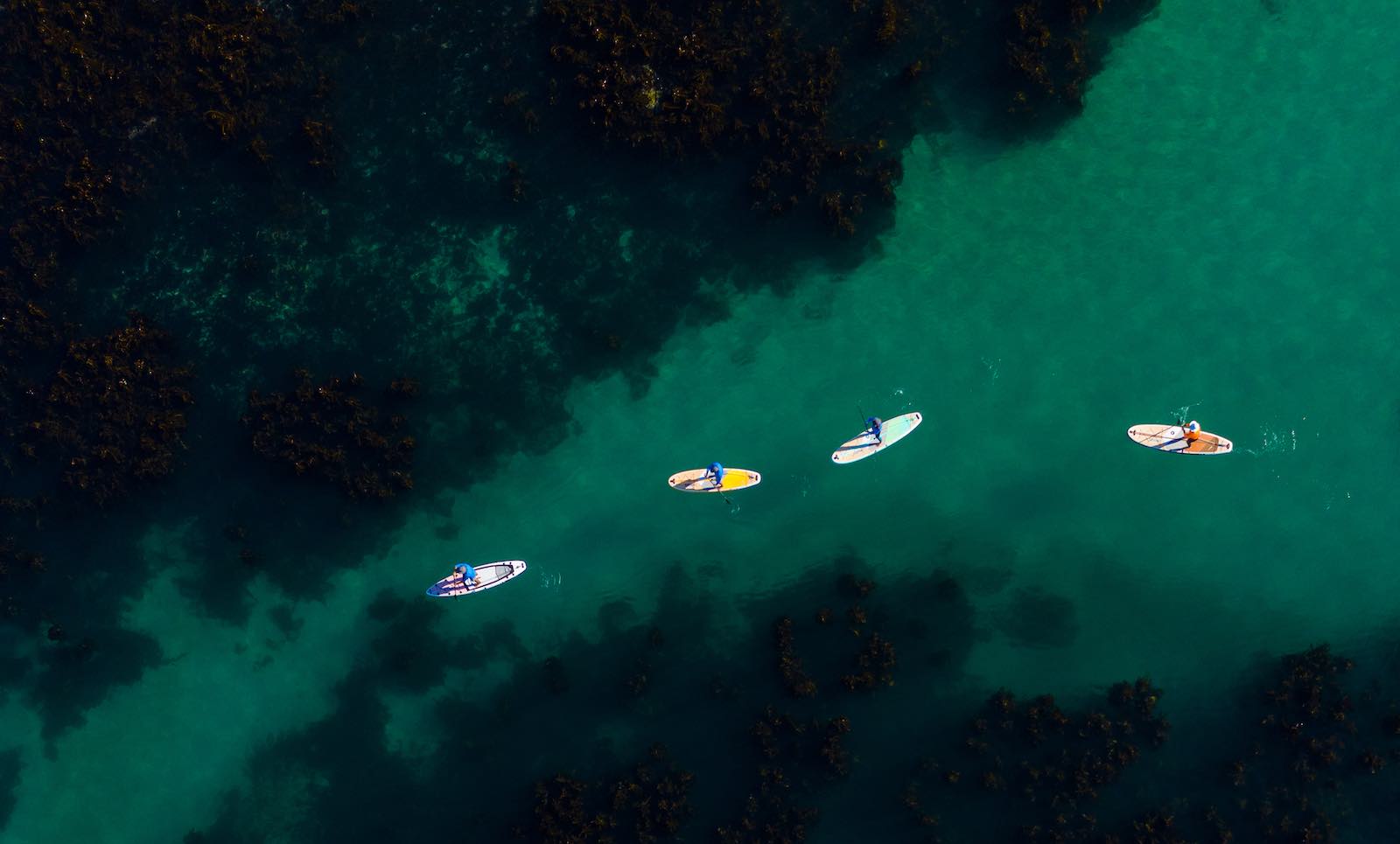 Overhead of four stand up paddlerboarders on Thurso Surf SUPs